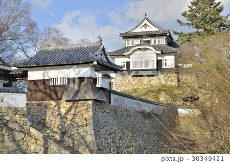 備中松山城 30349421