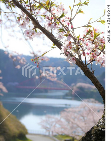 青蓮寺湖 三重県 青蓮寺湖 三重県 30349574
