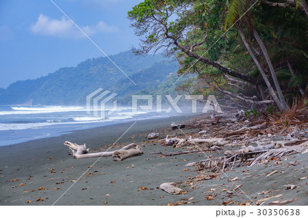Corcovado National Park - beach view with mist 30350638