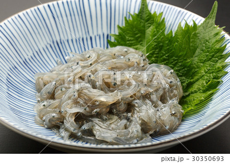 生しらす 30350693