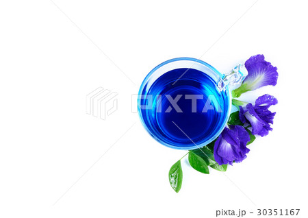 Blue pea or butterfly pea close up on white 30351167