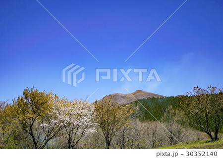 久住高原 沢水 久住高原 沢水 30352140