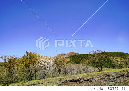 久住高原　沢水 30352141