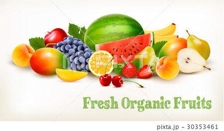 Big collection of different fresh fruit. Vector. 30353461