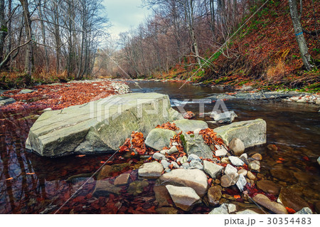 creek running in the foest through the stones 30354483