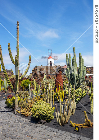 View of cactus garden, jardin de cactus in Guatiza View of cactus garden, jardin de cactus in Guatiza 30354578