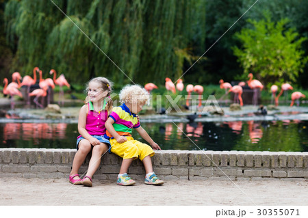 Children watching animals at the zoo Children watching animals at the zoo 30355071