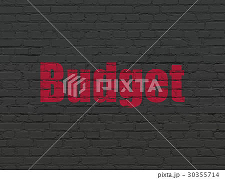 Money concept: Budget on wall background Money concept: Budget on wall background 30355714