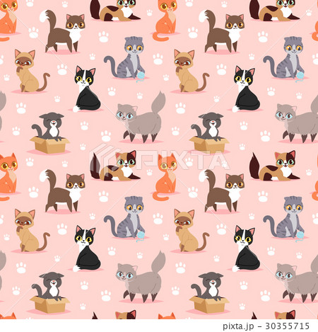 Cat breed cute kitten pet portrait fluffy young 30355715