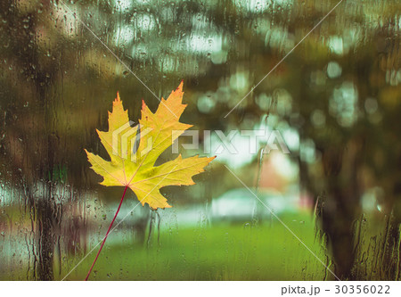 The view from the window on a rainy day The view from the window on a rainy day 30356022