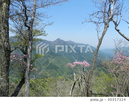 5月の古祖母山 30357324