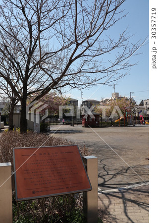 門と蔵のある広場の風景 門と蔵のある広場の風景 30357719