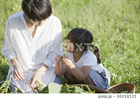 枝豆を収穫する親子 30358525