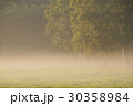 夏の高原　朝霧３ 30358984
