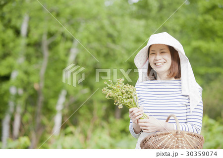 山菜採り 30359074