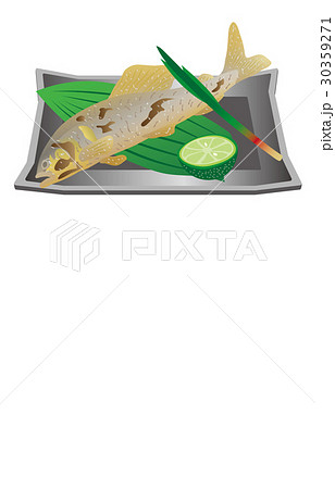 今日の肴鮎の塩焼き 30359271