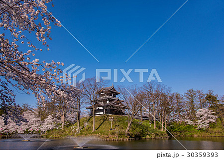 新潟　高田城の満開の桜 30359393