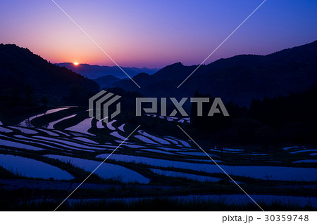 鴨川の大山千枚田の朝日 30359748