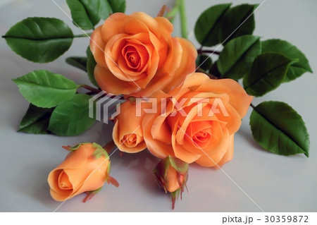 clay orange roses flower on white background 30359872