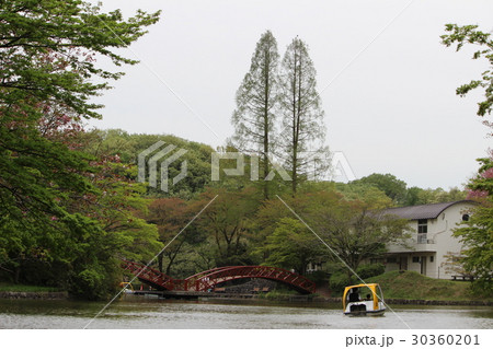 こどもの国 30360201