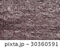のり 30360591