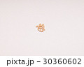 メロンの種 30360602