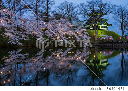 新潟 高田城の満開の桜 夕景 ライトアップ 新潟 高田城の満開の桜 夕景 ライトアップ 30361471