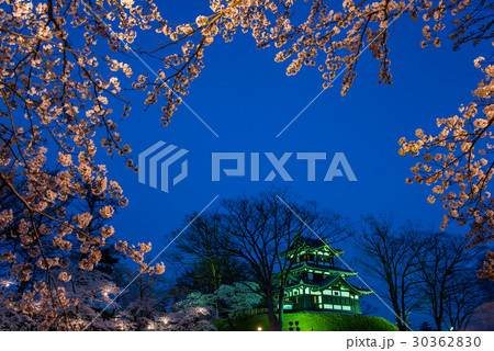 新潟 高田城の満開の桜 夜桜 ライトアップ 新潟 高田城の満開の桜 夜桜 ライトアップ 30362830
