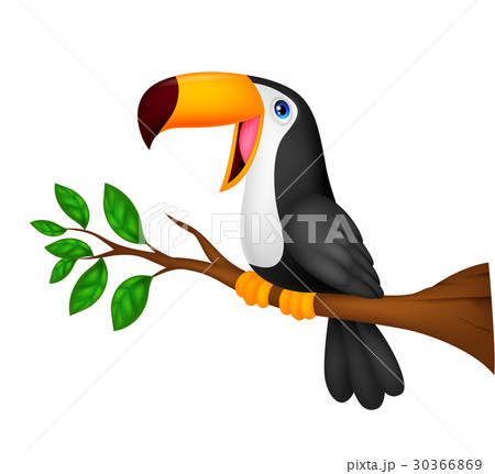 Cute toucan bird cartoon 30366869