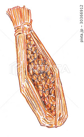 藁づと納豆のイラスト素材