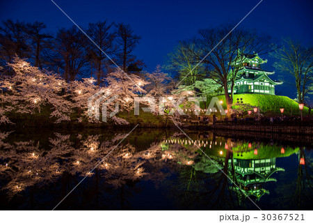 新潟　高田城の満開の桜　夜桜　ライトアップ 30367521