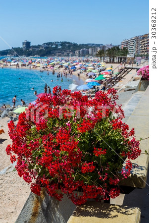 Beach on the Costa Brava 30368212