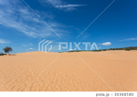 red sand dune desert in Mui Ne, Vietnam 30368580
