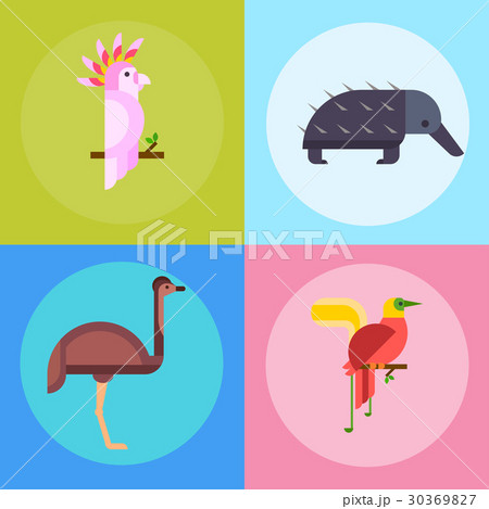 Australia wild animals cartoon popular nature 30369827