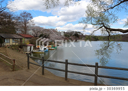 高松の池 高松の池 30369955