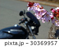 桜　バイク　シルエット 30369957
