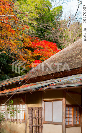 紅葉の祇王寺 紅葉の祇王寺 30370007