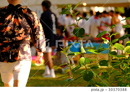 能代の七夕祭 能代の七夕祭 30370388