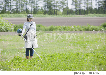 草刈り 芝刈りの写真素材