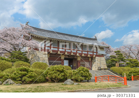 伏見桃山城の城門風景 30371331