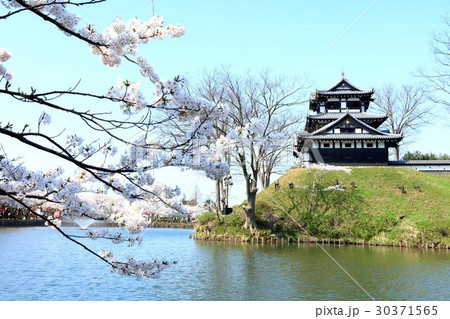 上越市高田公園 上越市高田公園 30371565