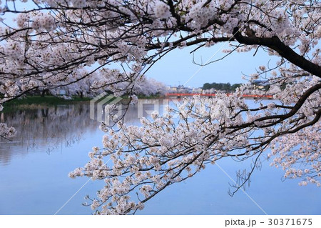 高田公園 高田公園 30371675
