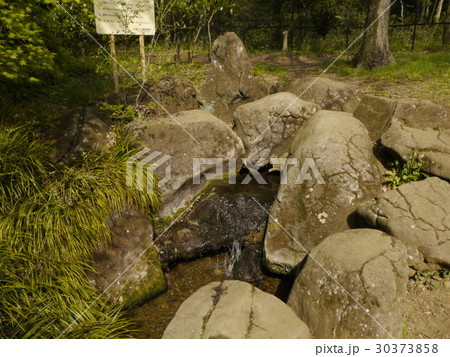 東京の名湧水57選　野川公園 30373858