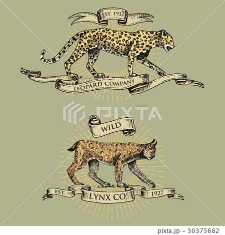 leopard and lynx logos, emblems or badges with leopard and lynx logos, emblems or badges with 30375682