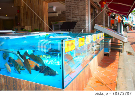 Fish restaurant in Singapore 30375707