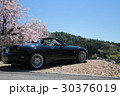オープンカー ドライブ ツーシータ ロードスター スポーツカー 週末 趣味 Drive 春  30376019