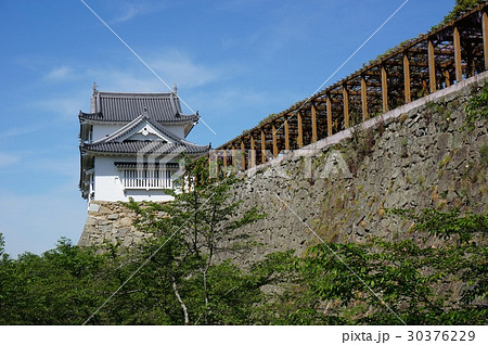 岡山県津山市の桜の名所 鶴山公園 津山城趾 備中櫓の写真素材
