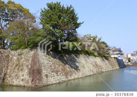 駿府城　中堀 30376836