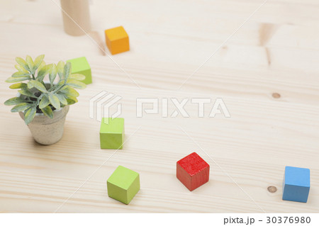 ブロックと植物 ブロックと植物 30376980