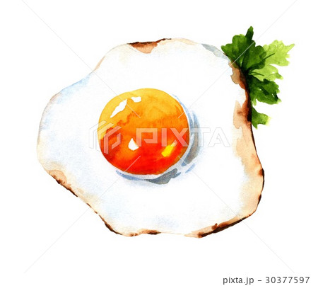 fried egg fried egg 30377597